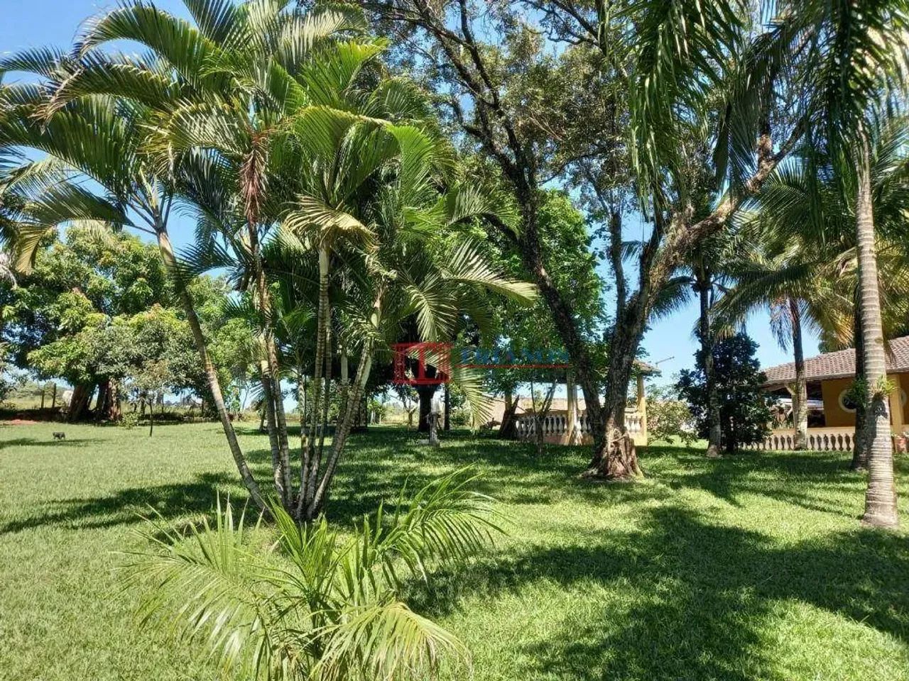 Chácara no Bairro Nova Suiça - Foto 3