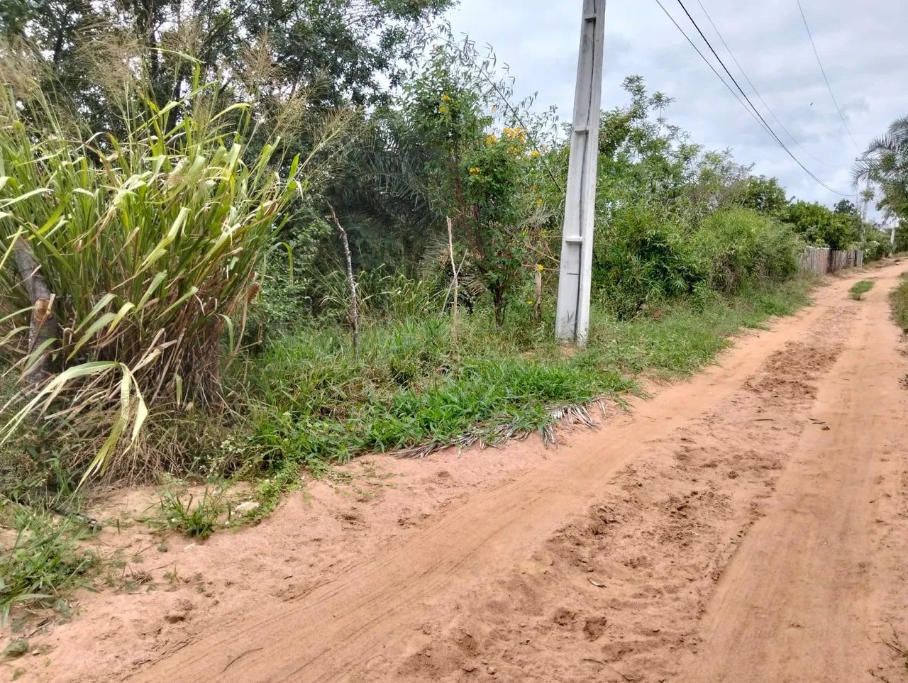 Vendo Tarefa ou lotes - Foto 2