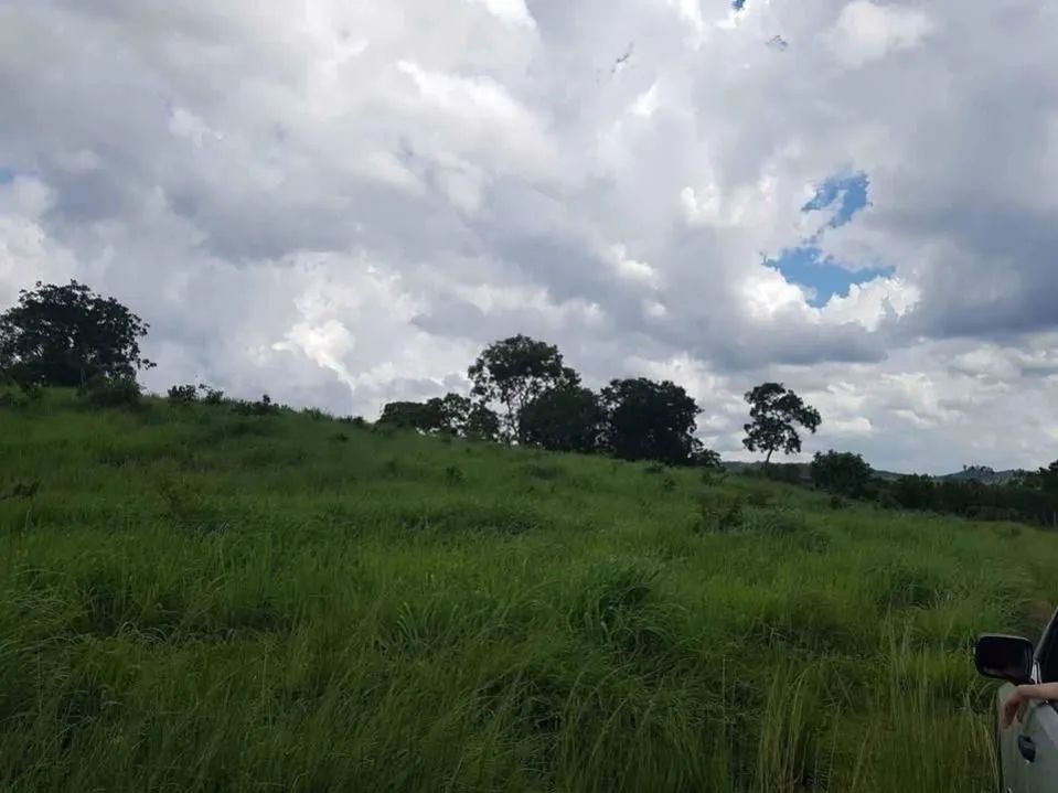 SÍTIO À VENDA EM FAINA - GO - Foto 2