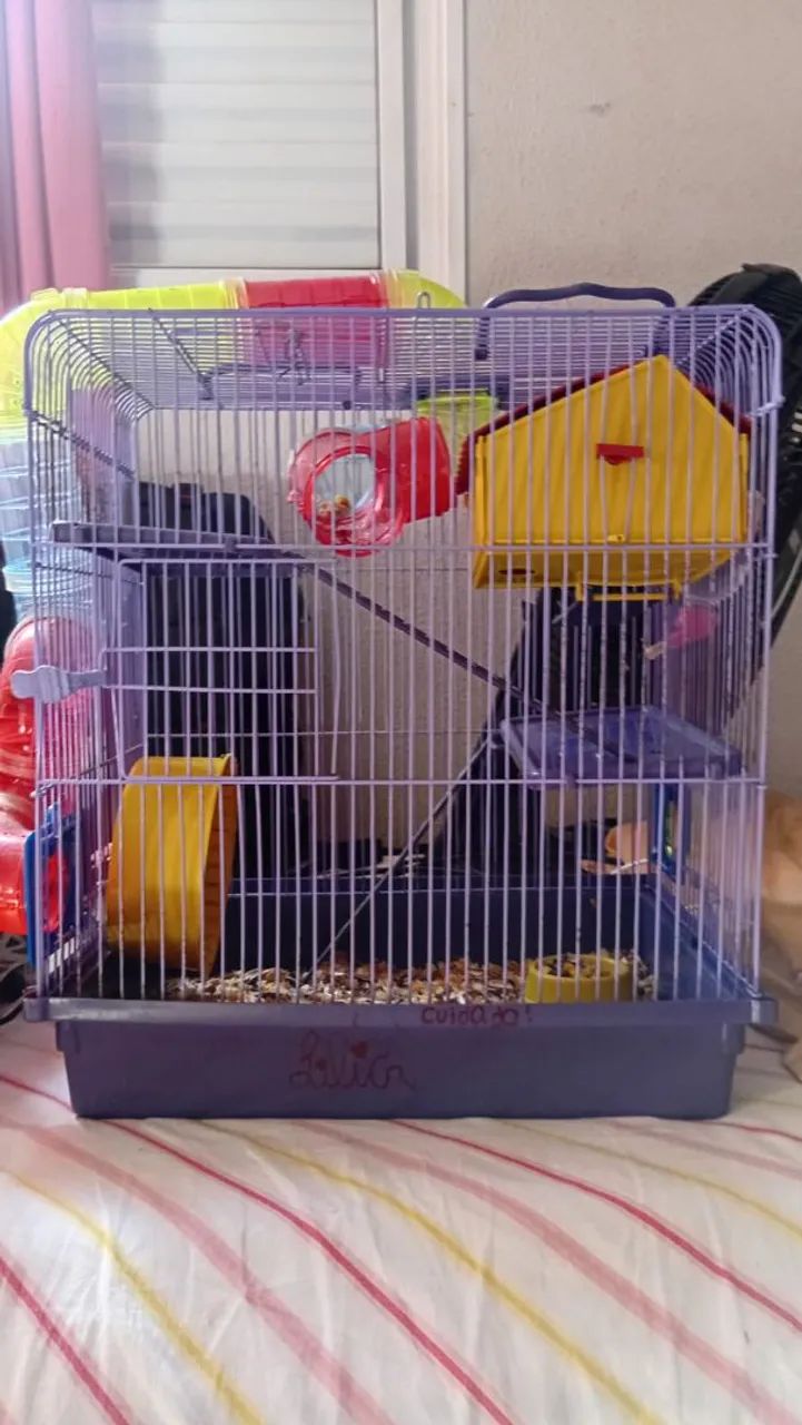 Vende-se Hamster  - Foto 2