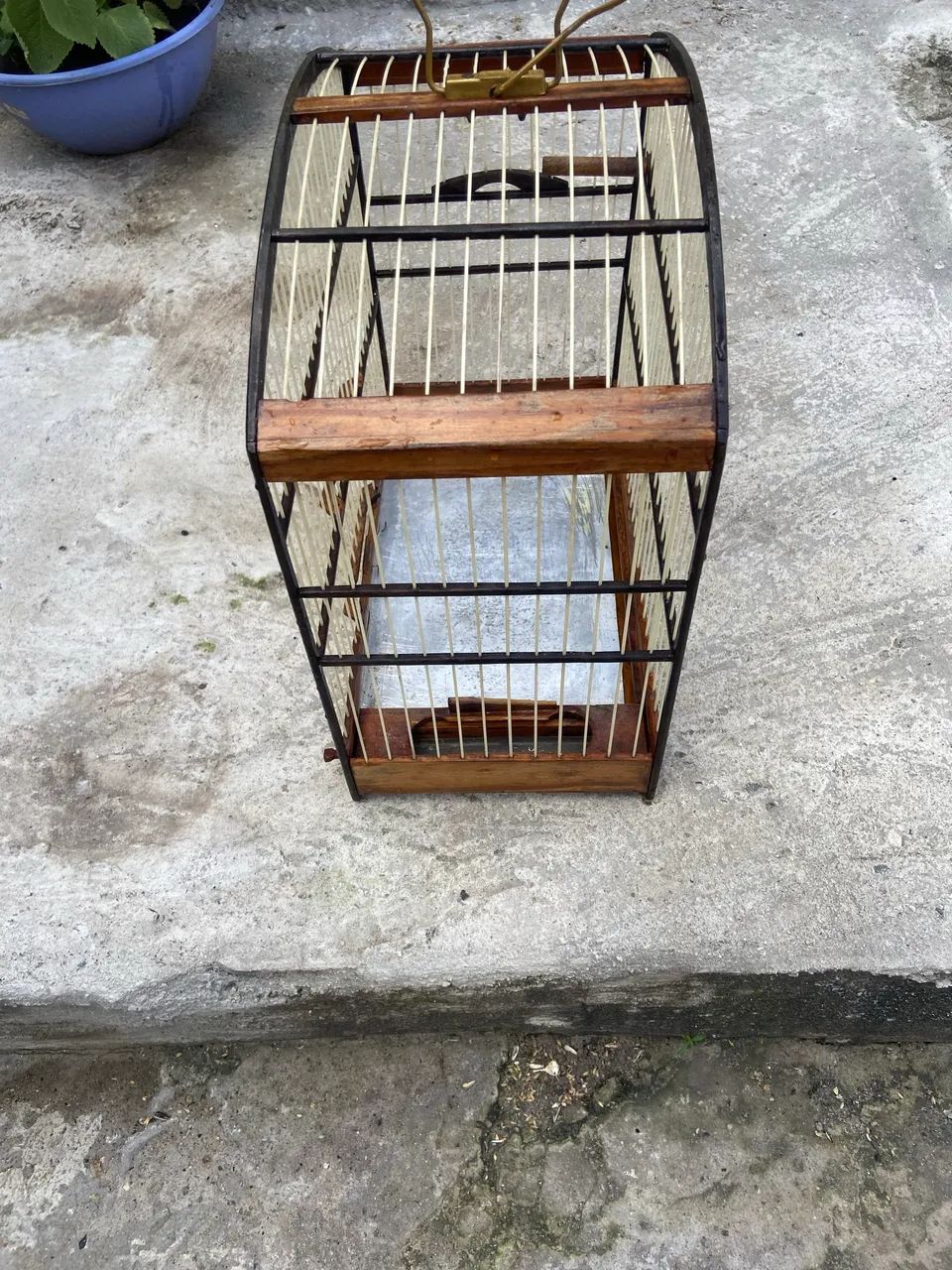 Gaiola  - Foto 6
