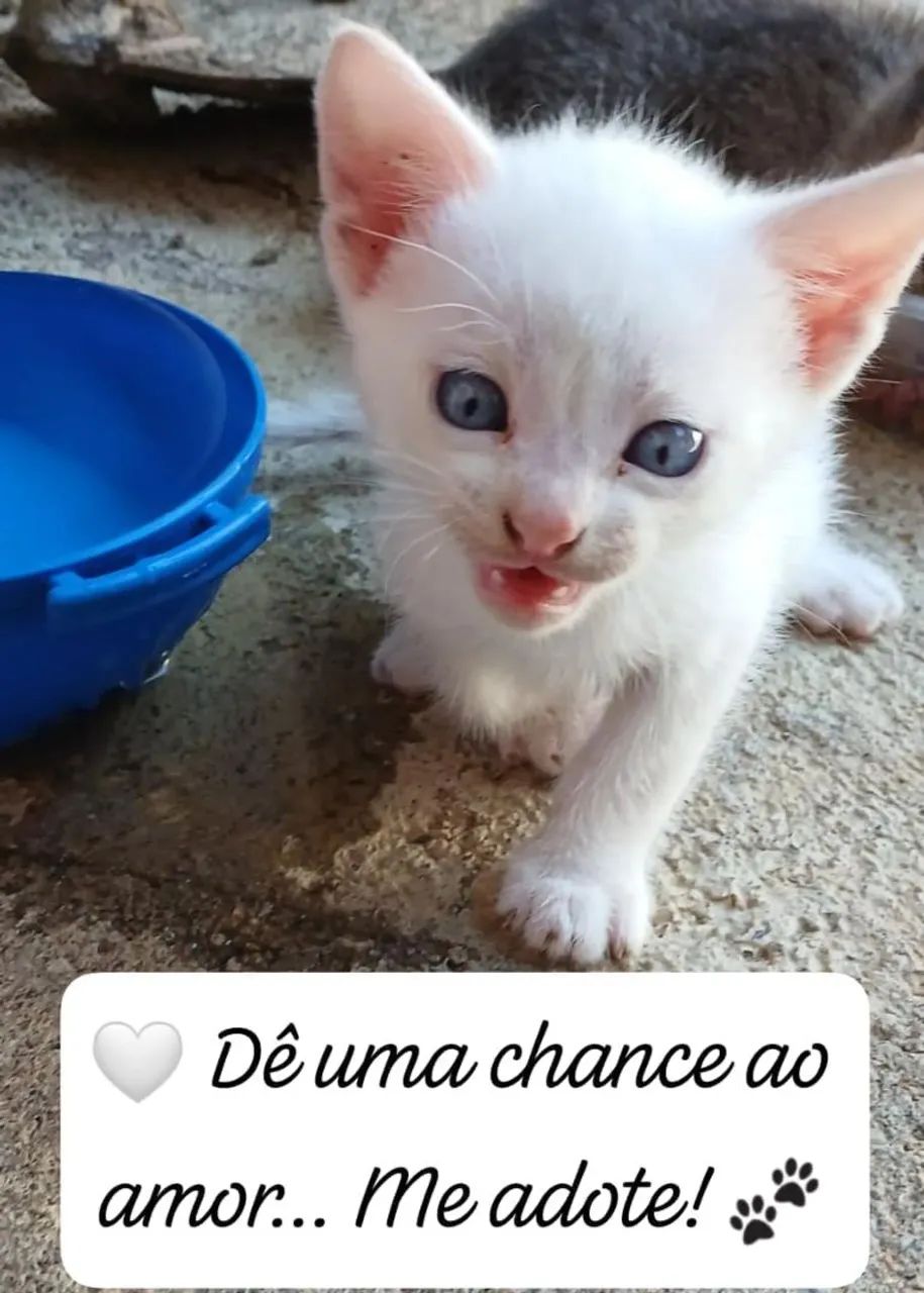 Doação 