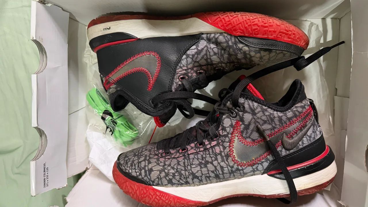 Nike lebron Nxxt 