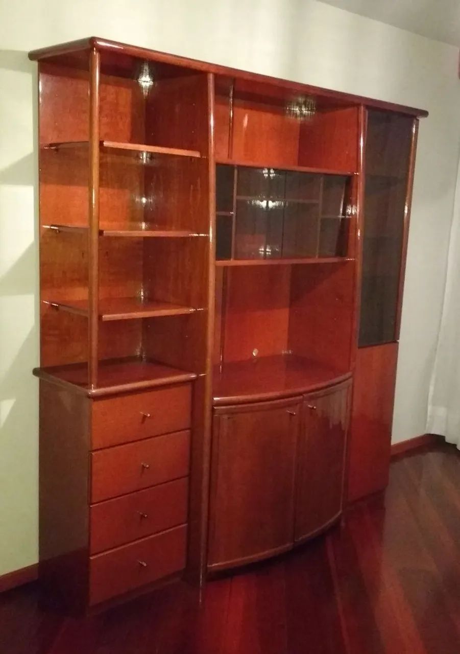 Rudnick Bookshelf, Glossy Mahogany, with Lighting, in Excellent Condition