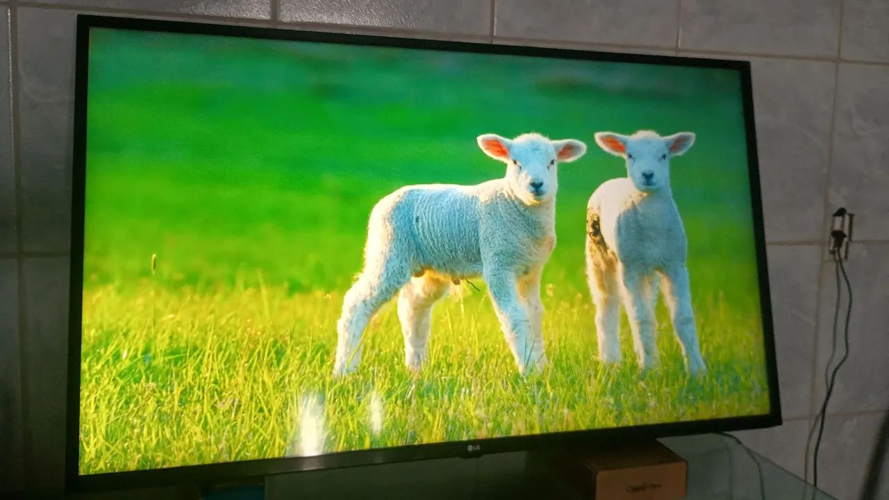  LG Smart 4K 50 polegadas  - Foto 3