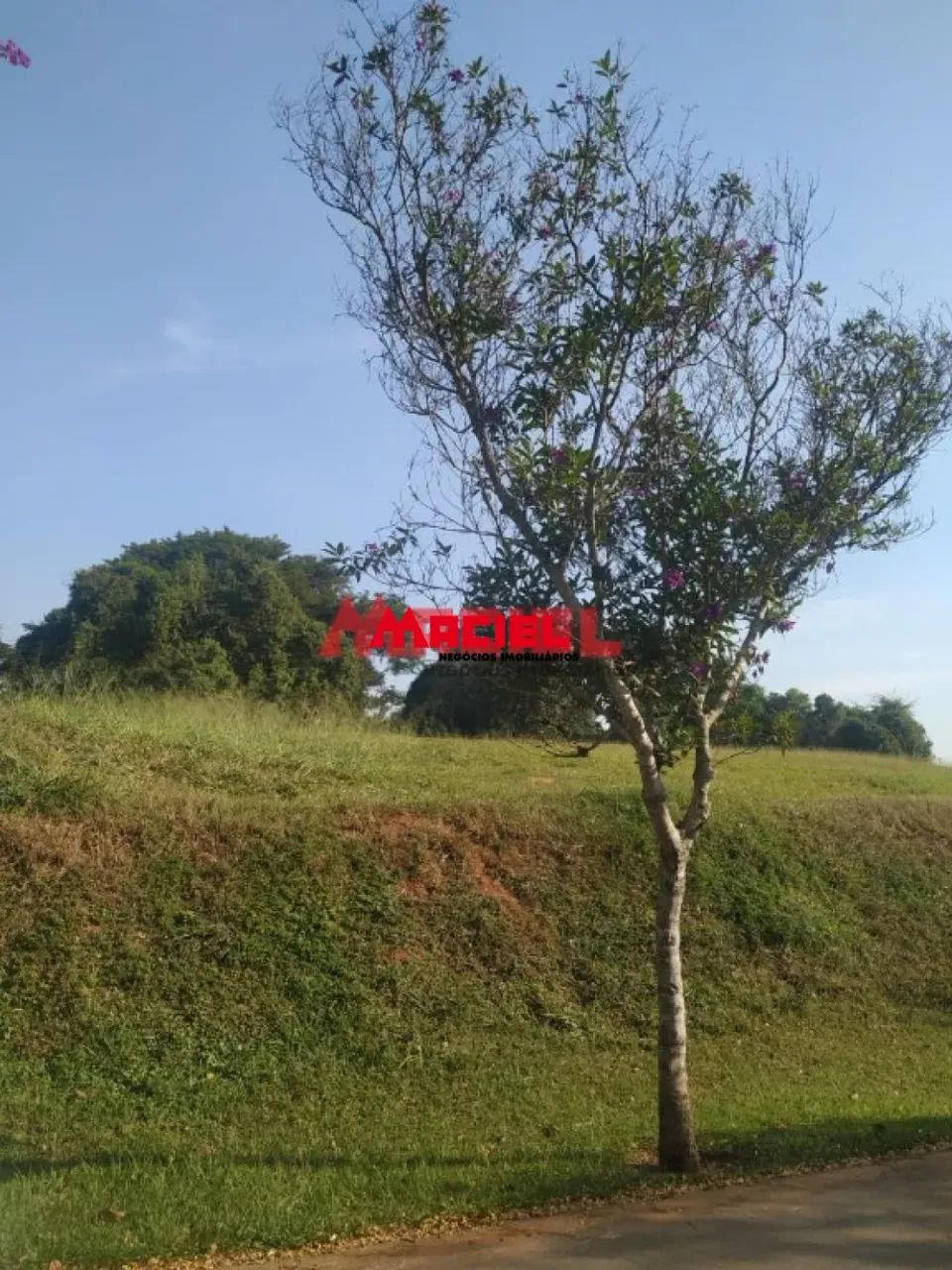 Terreno Condomínio em Jacareí - Foto 5