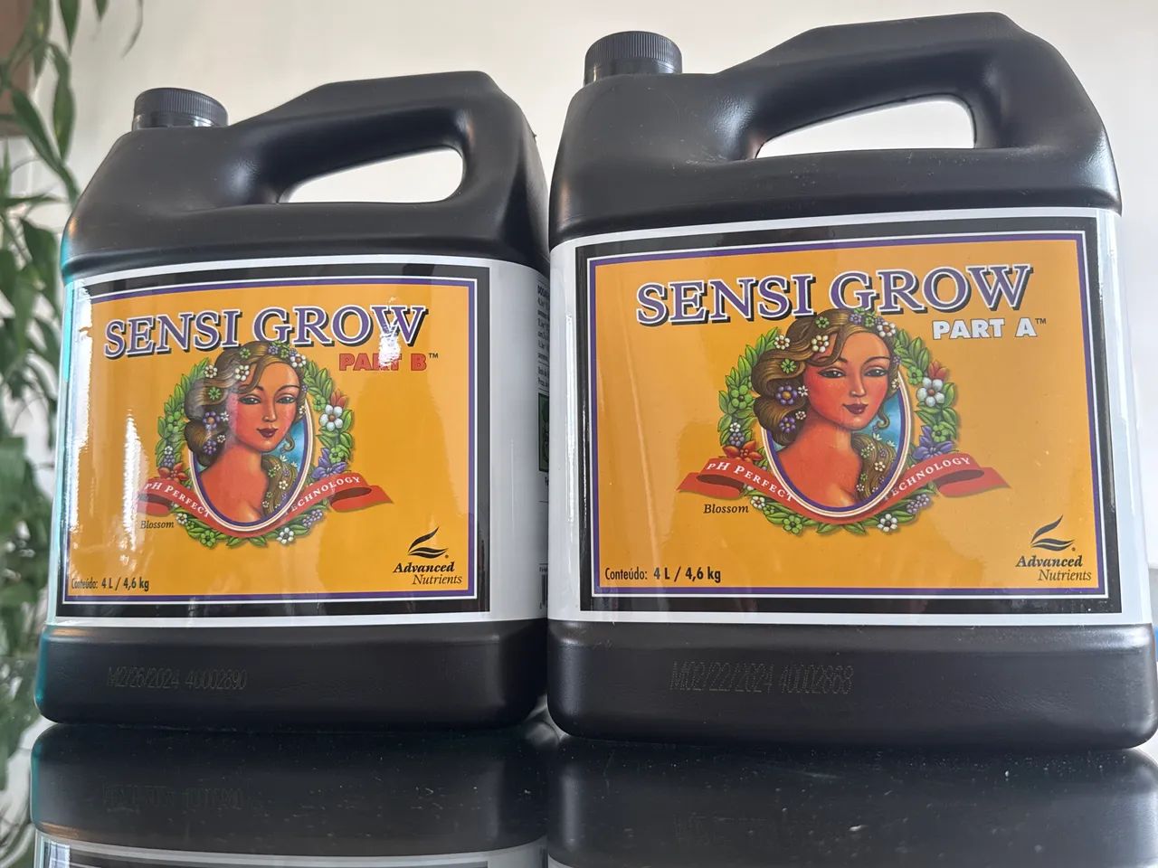 Advanced Nutrients A+B 4L