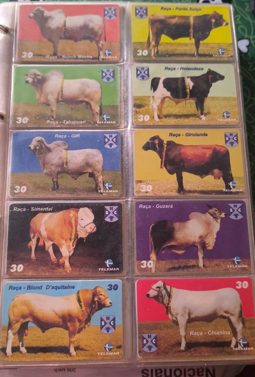 Coleção de Cartão Telefônico  - Foto 3
