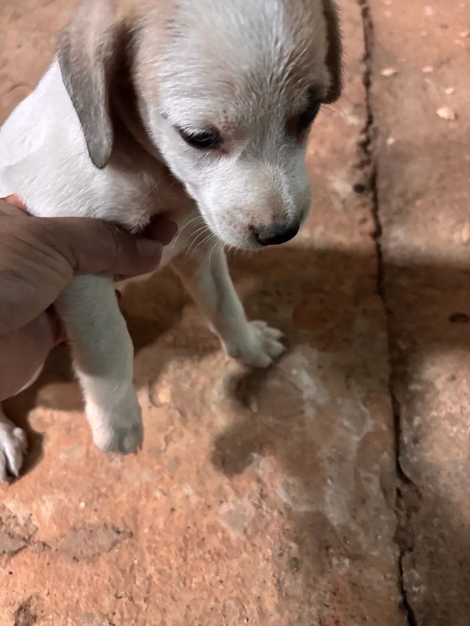 Doações  - Foto 4