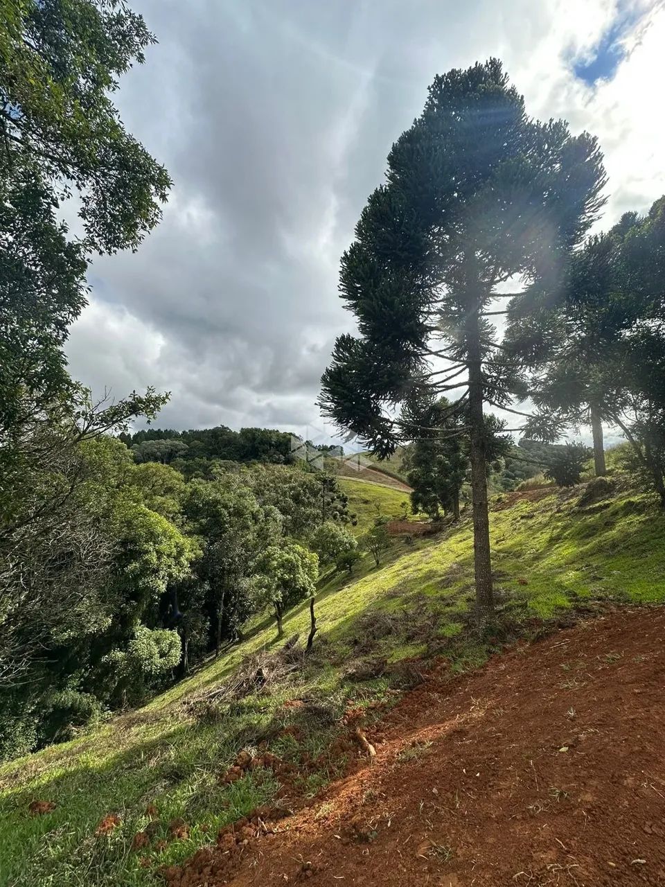 Terreno no bairro Barra Clara, em Angelina - SC - Foto 4