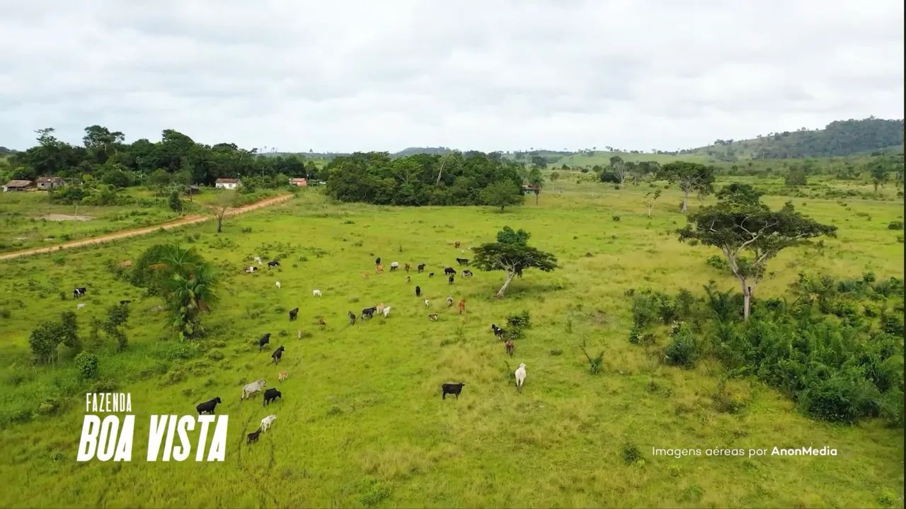 FAZENDA À VENDA - 44 ALQUEIRES - NOVA IPIXUNA - Foto 2