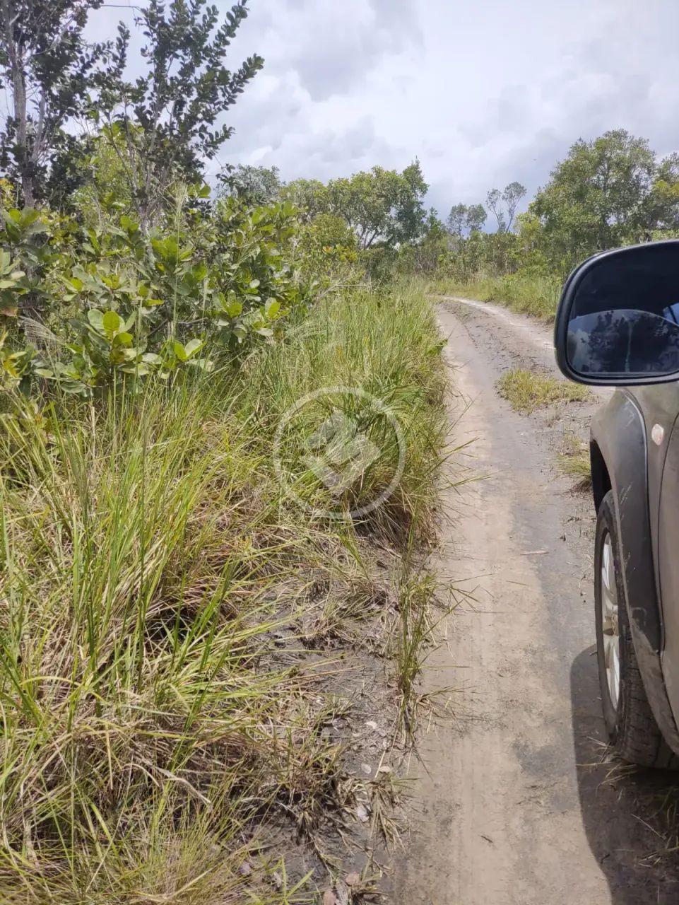 Excelente fazenda com dupla aptidão, a 14 km do munícipio de Colinas do Tocantins! codigo: - Foto 4
