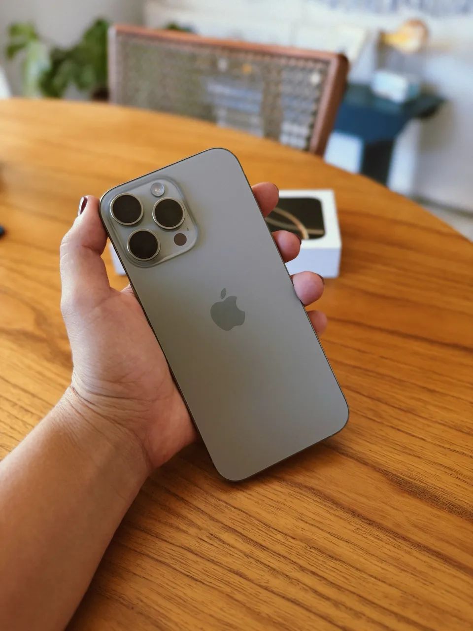 iPhone 16 Pro Max 256GB - Impecável