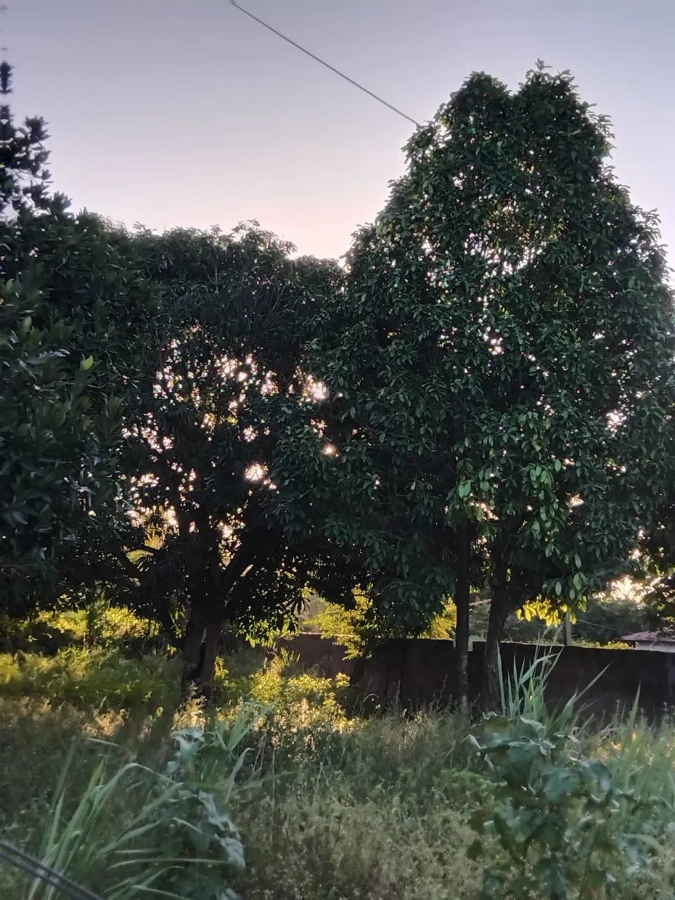 Vende-se sitio ( 2 casas uma em cima da outra) - Foto 4