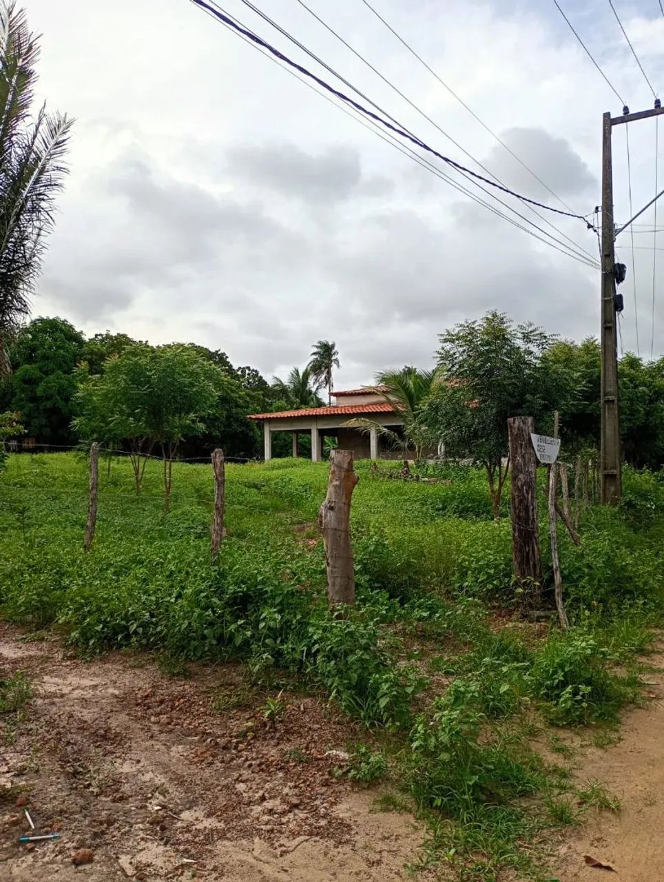 Casa sítio - Foto 4