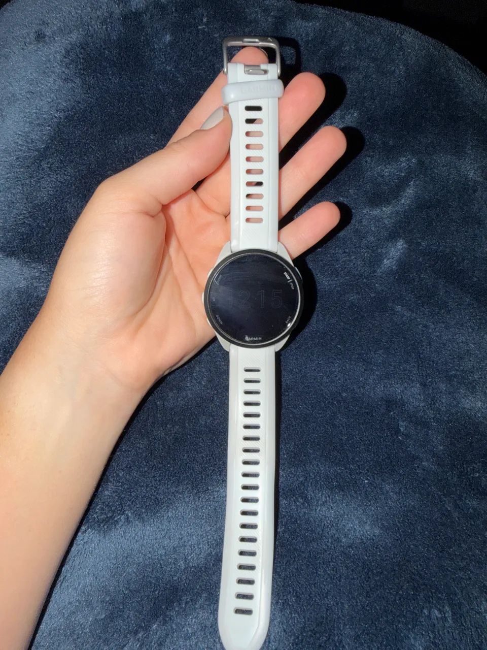 Garmin 165 music 
