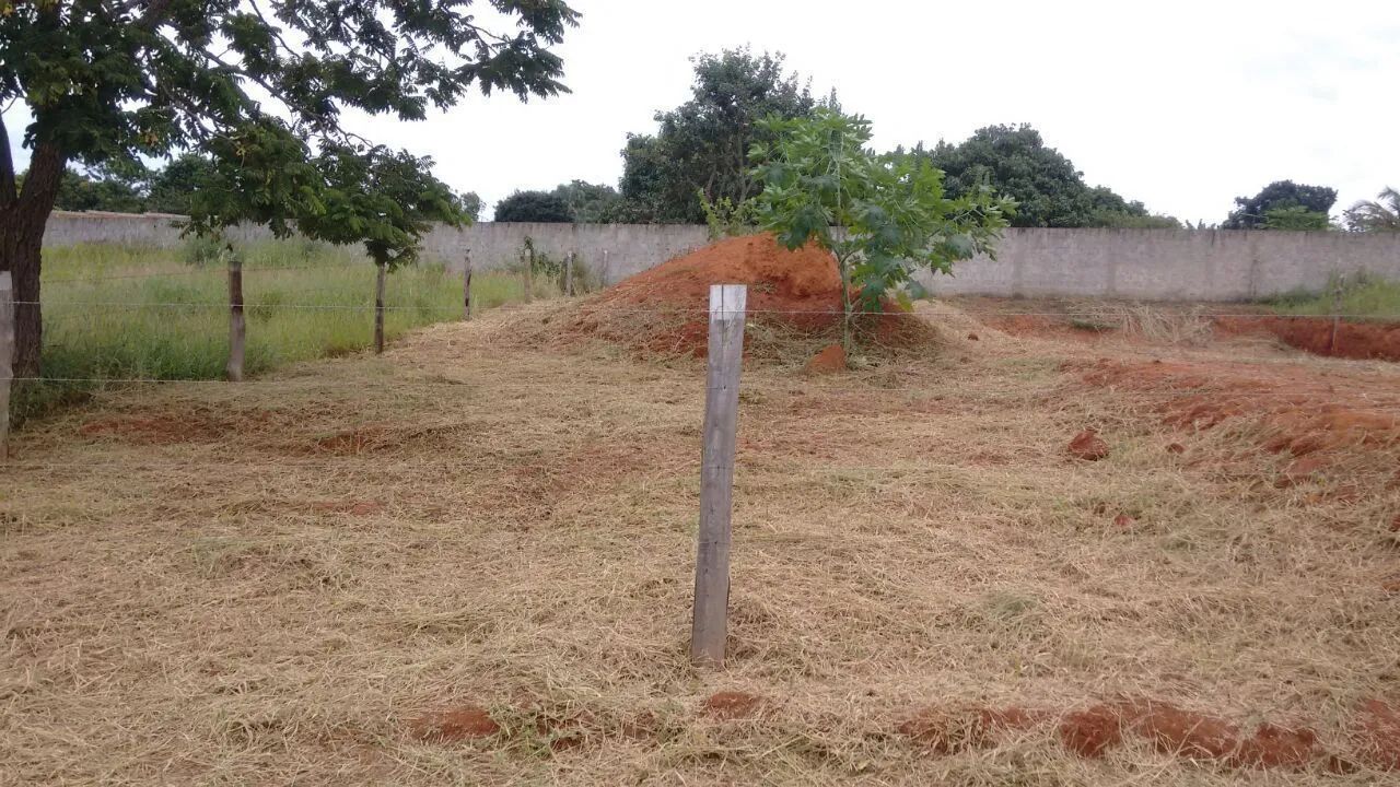 Roçagem em geral  - Foto 5