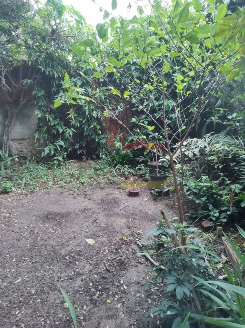 Terreno - Vila Ede - São Paulo - SP - Foto 5