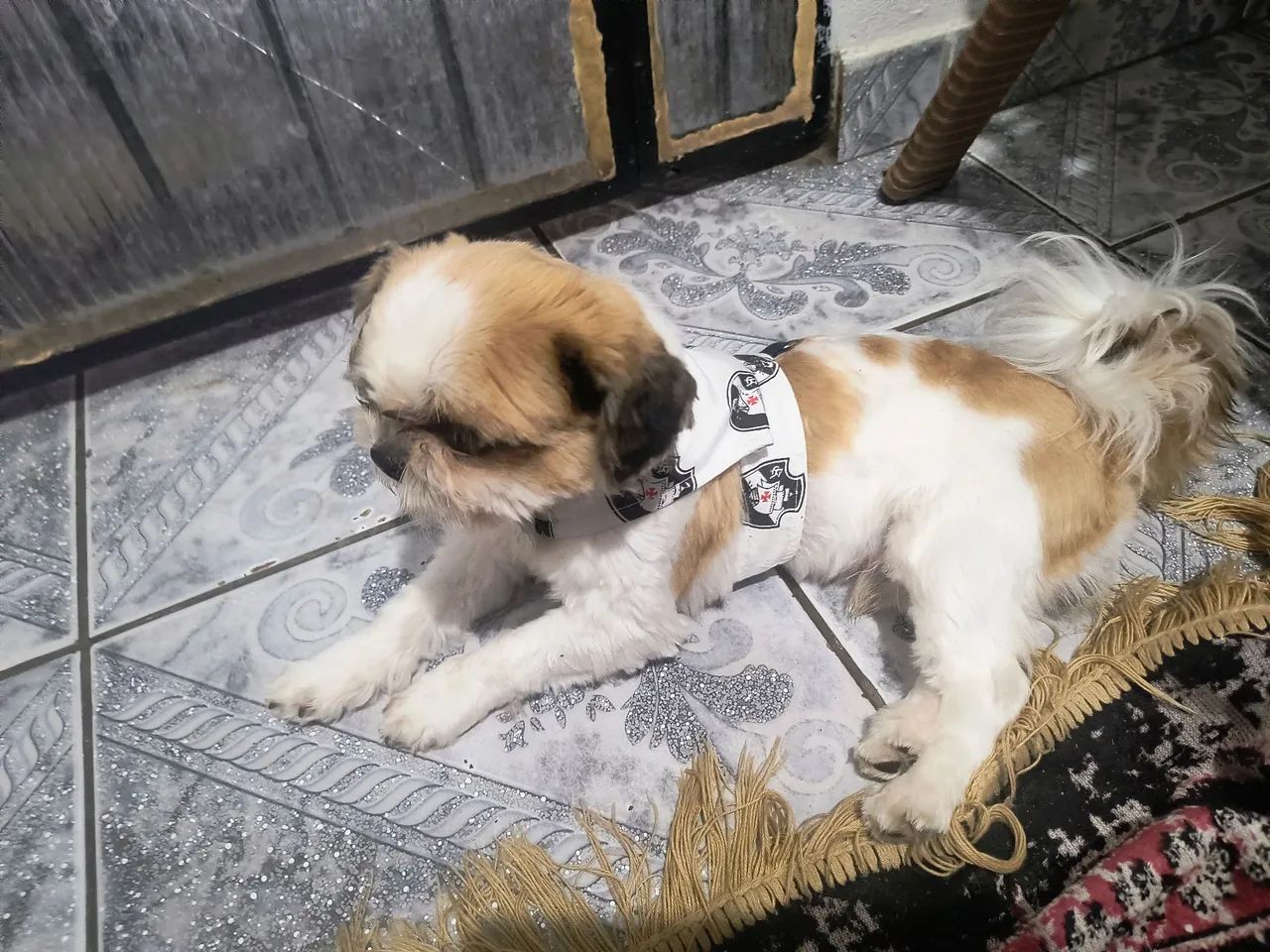 A procura de uma namorada 