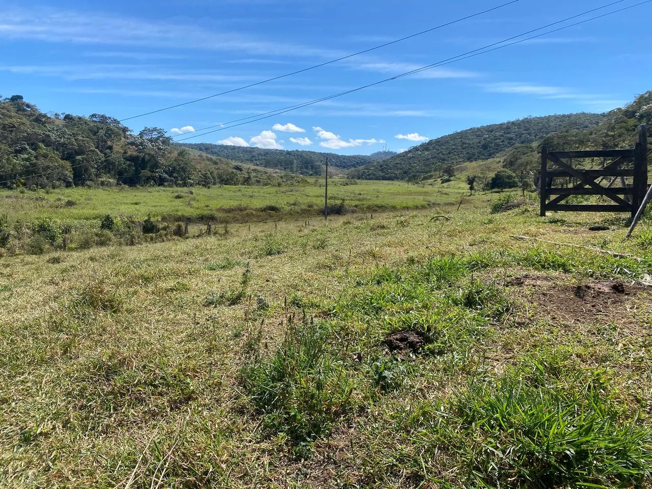 Venda