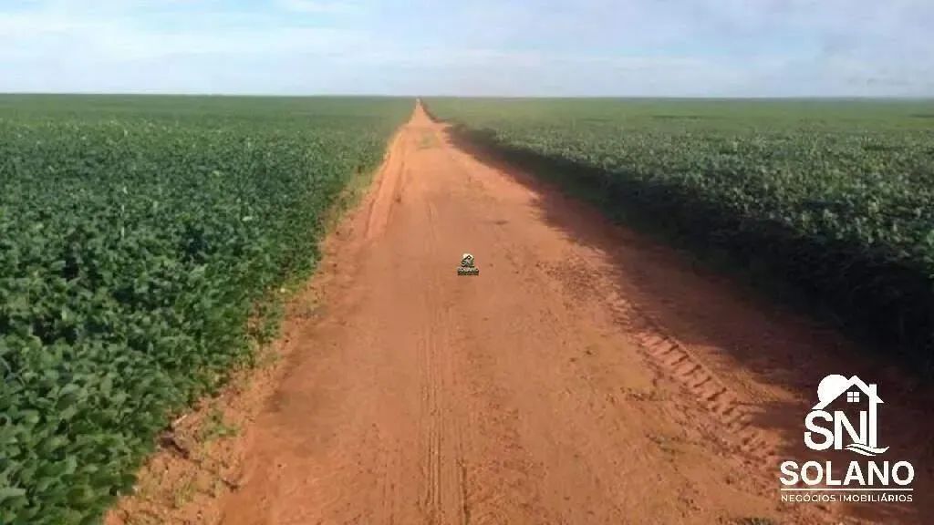 FAZENDA COM FABRICA DE ÓLEOS VEGETAIS EM NOVA MUTU/ MT. - Foto 5