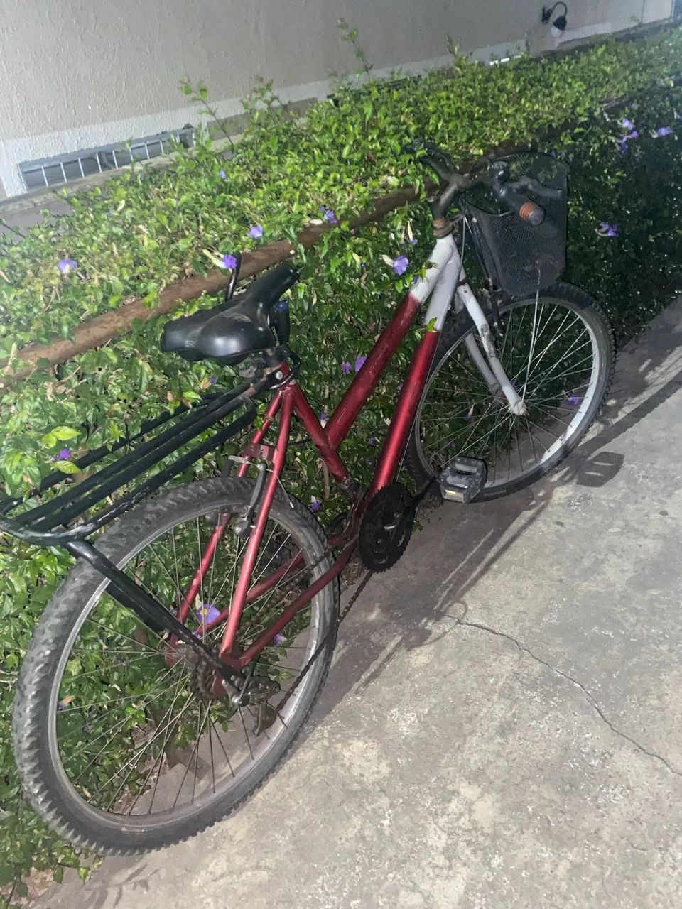 Bicicleta  - Foto 2