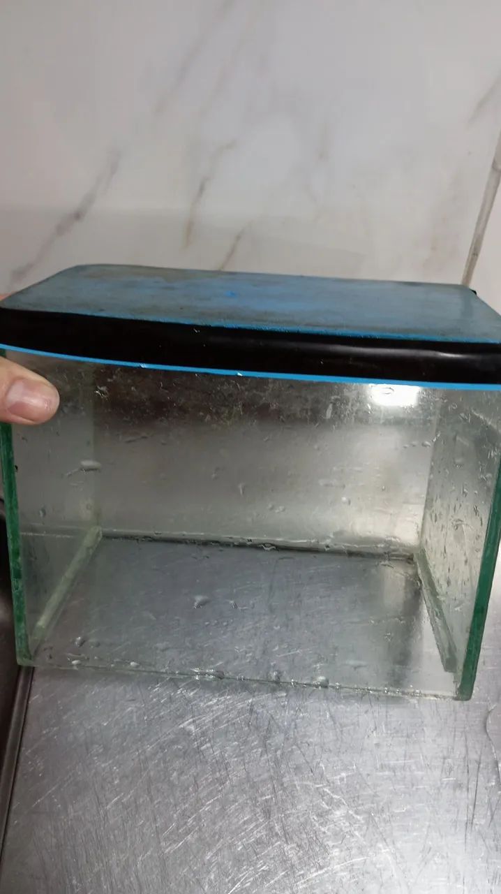 Small Aquarium437443792281937925