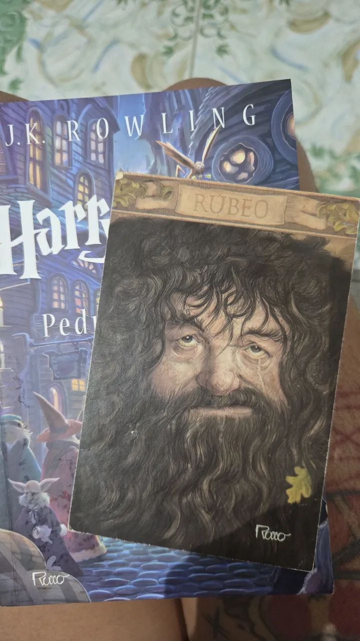 Box Harry Potter + Brinde Exclusivo - Foto 3