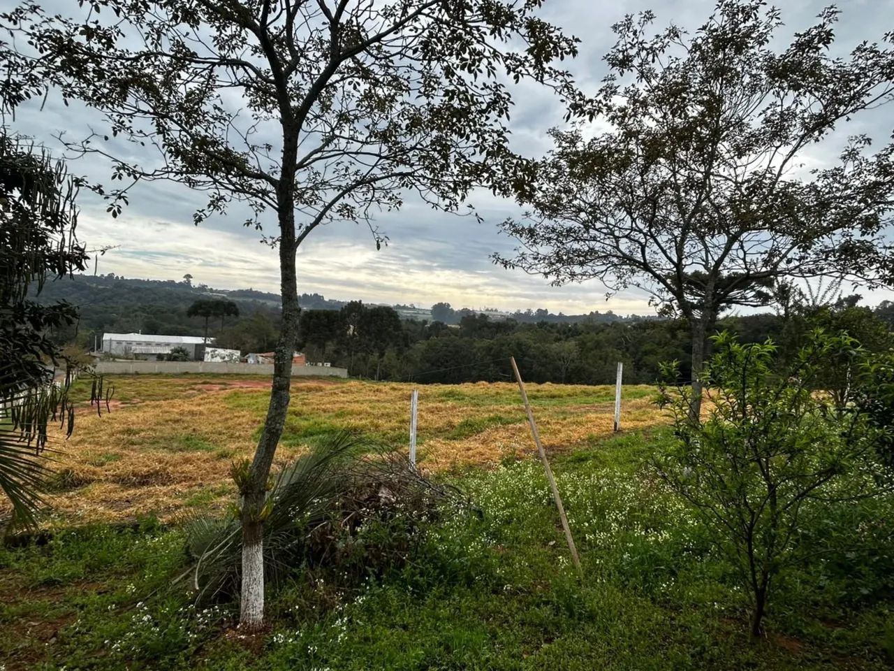 TERRENO PARA LOCAÇÃO NO CHAPADA - Foto 2