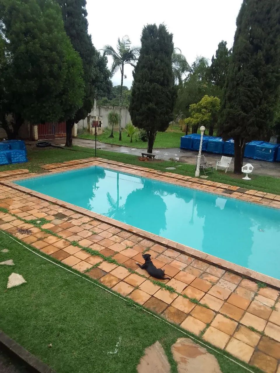  Me ofereço para trabalhar como Caseiro de sítio