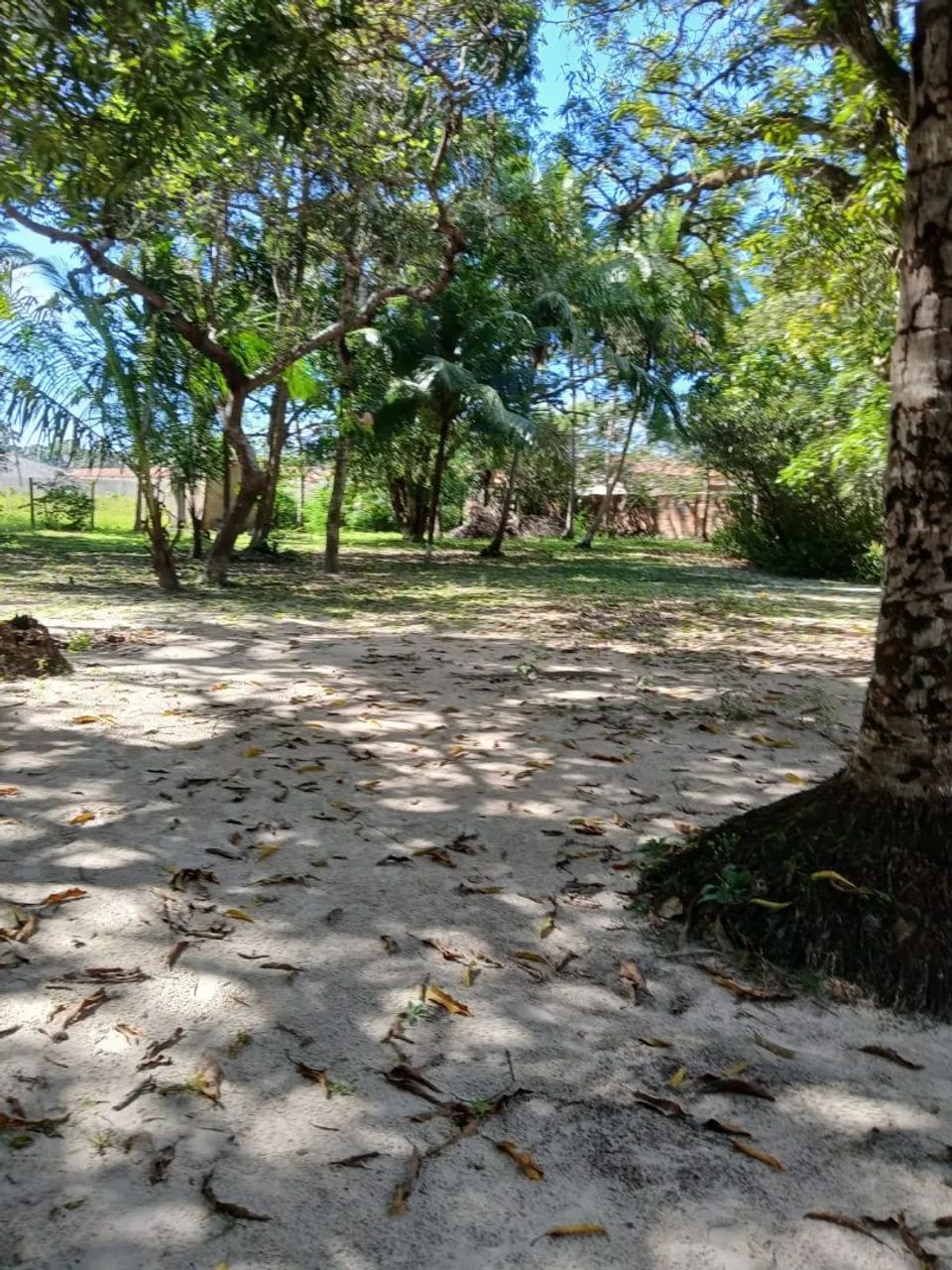 Alugo sitio - Foto 2