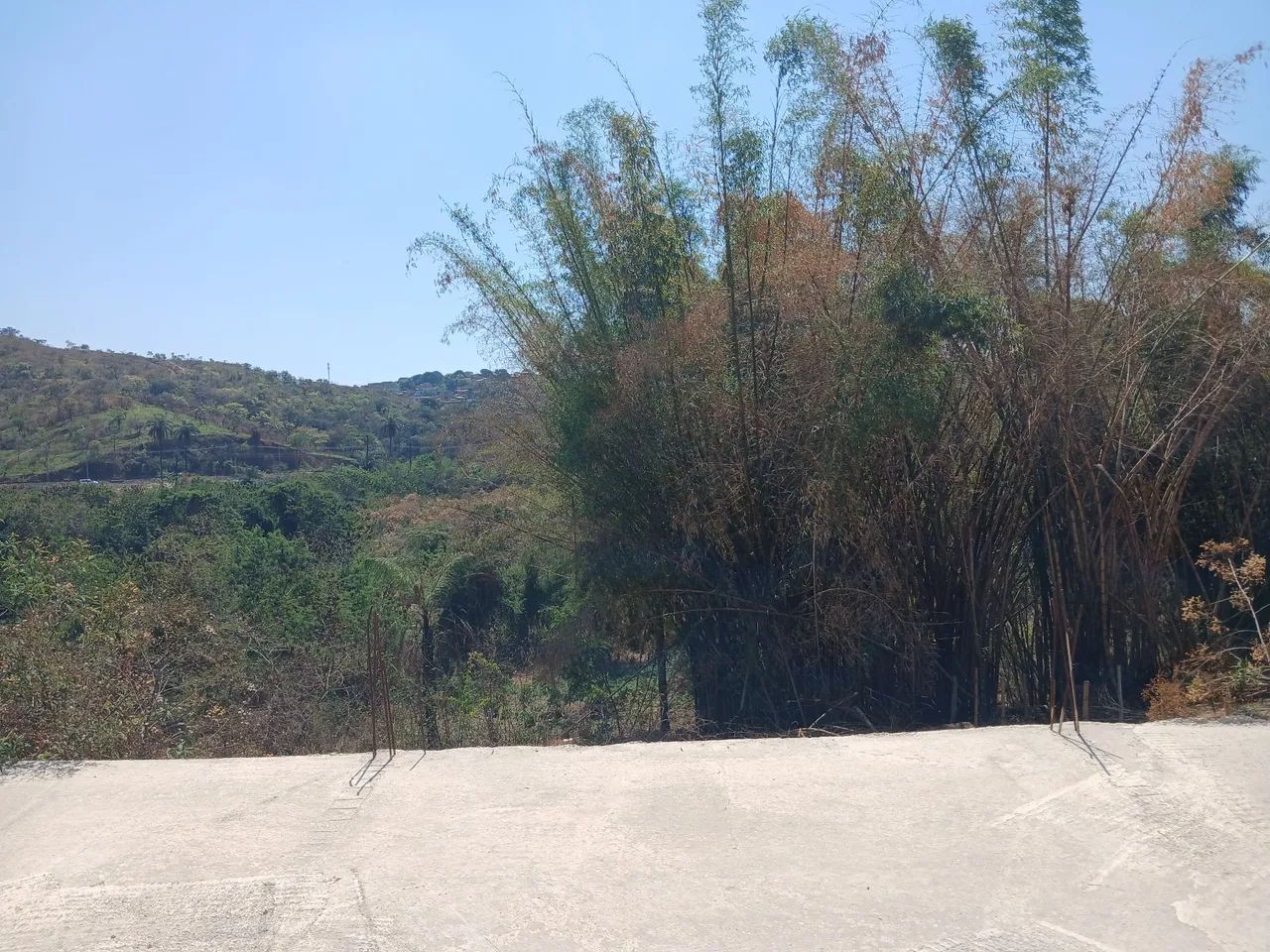 Vendo lote no bairro conjunto Ribeiro de abreu - Foto 3