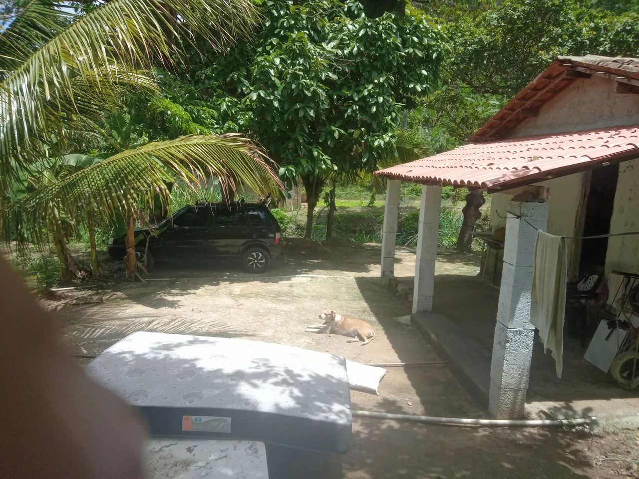 Casa no Pacoti - Foto 5