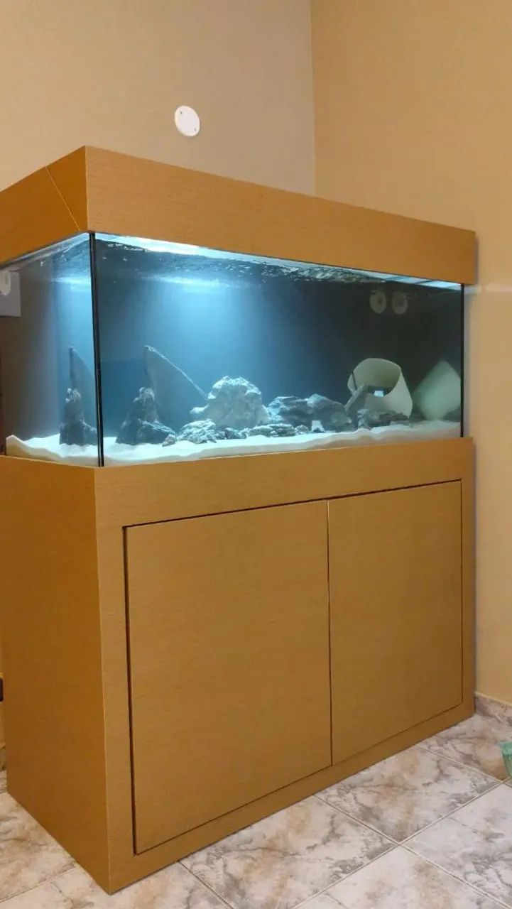 Aquário 200L completo  - Foto 5