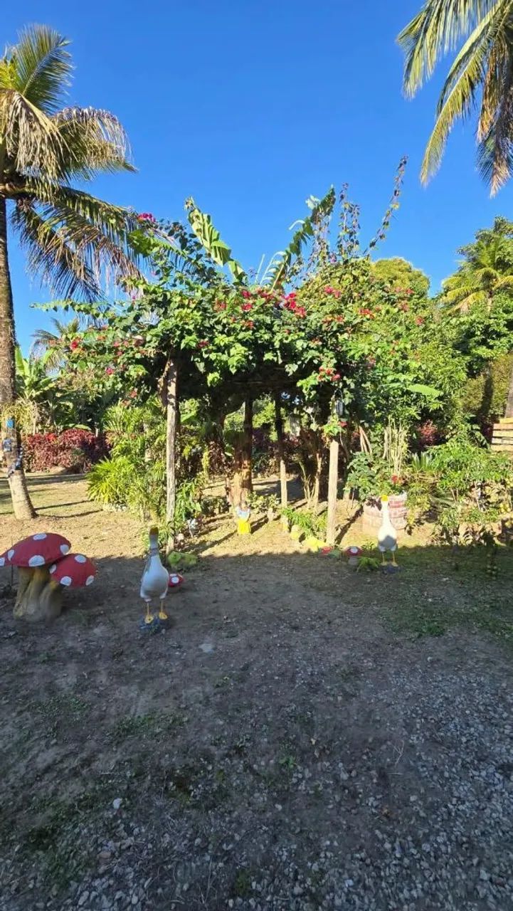 Linda chacara em sta candida 320. - Foto 2