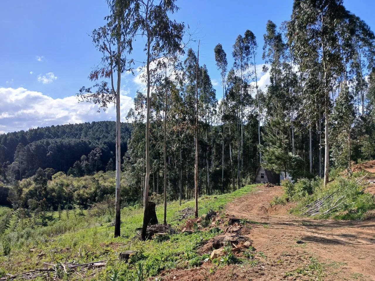 Chácara em Postema Campo Alegre SC