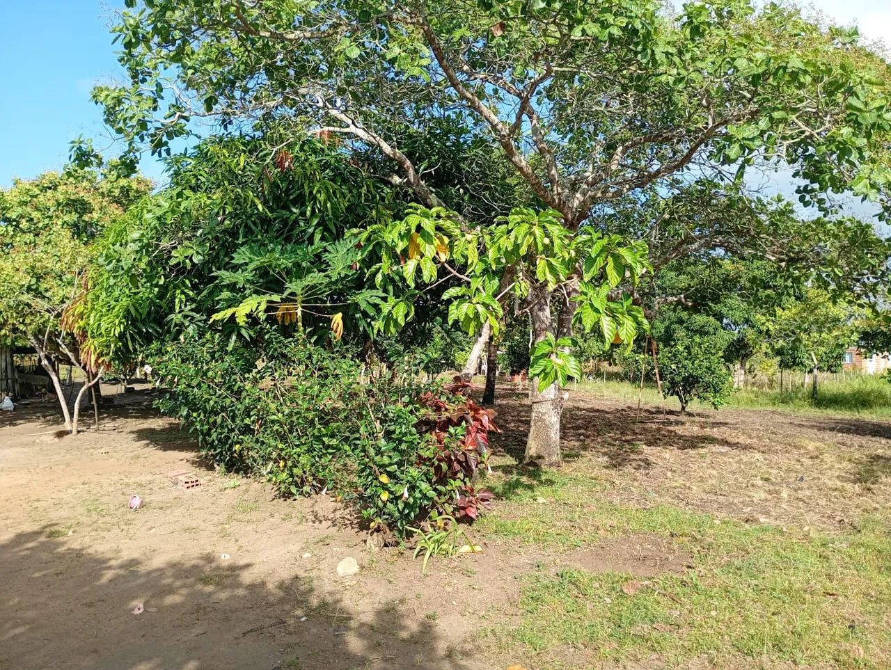 A venda - Foto 5