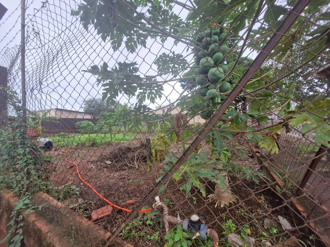 Terreno área comercial - Foto 3