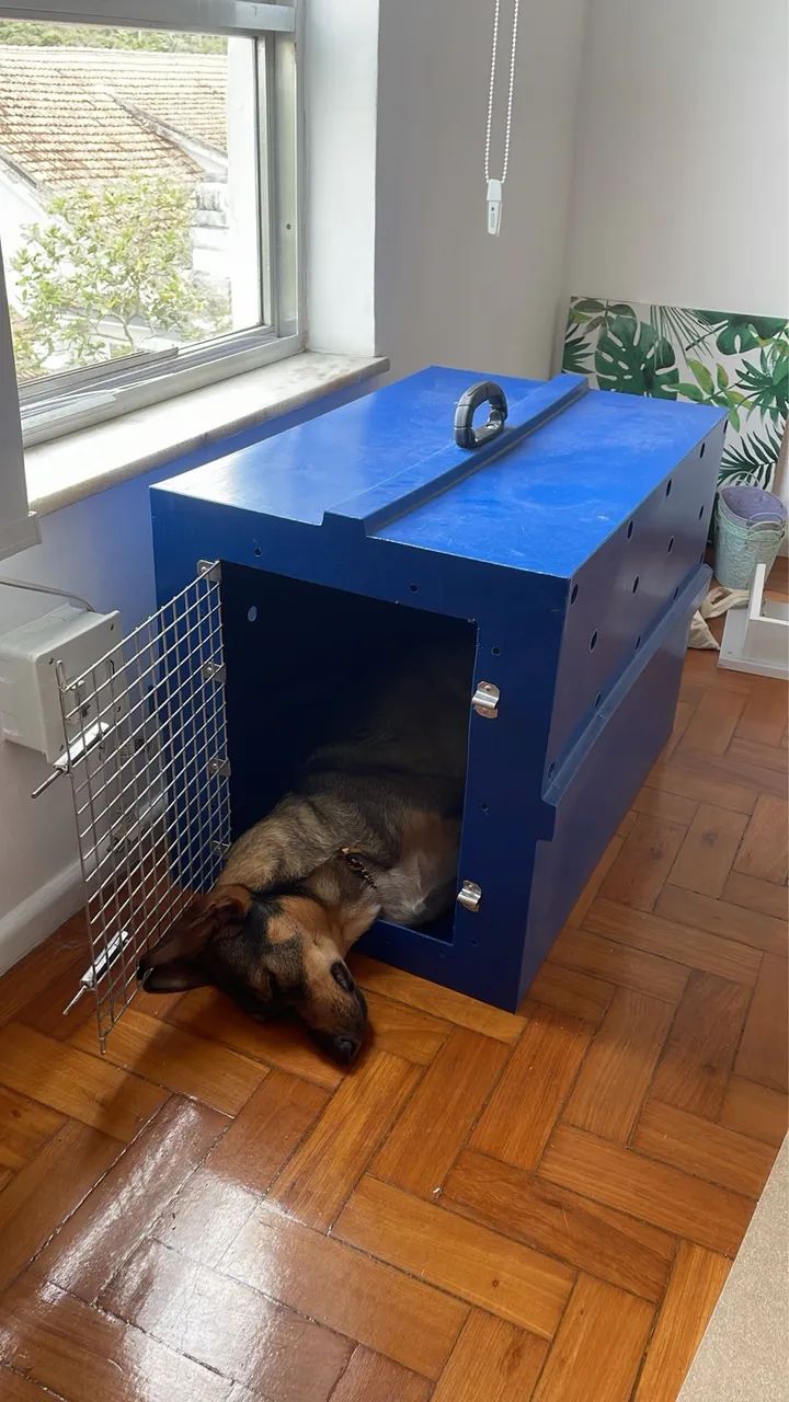 Caixa de Transporte para Cão - Porte Médio - Foto 6