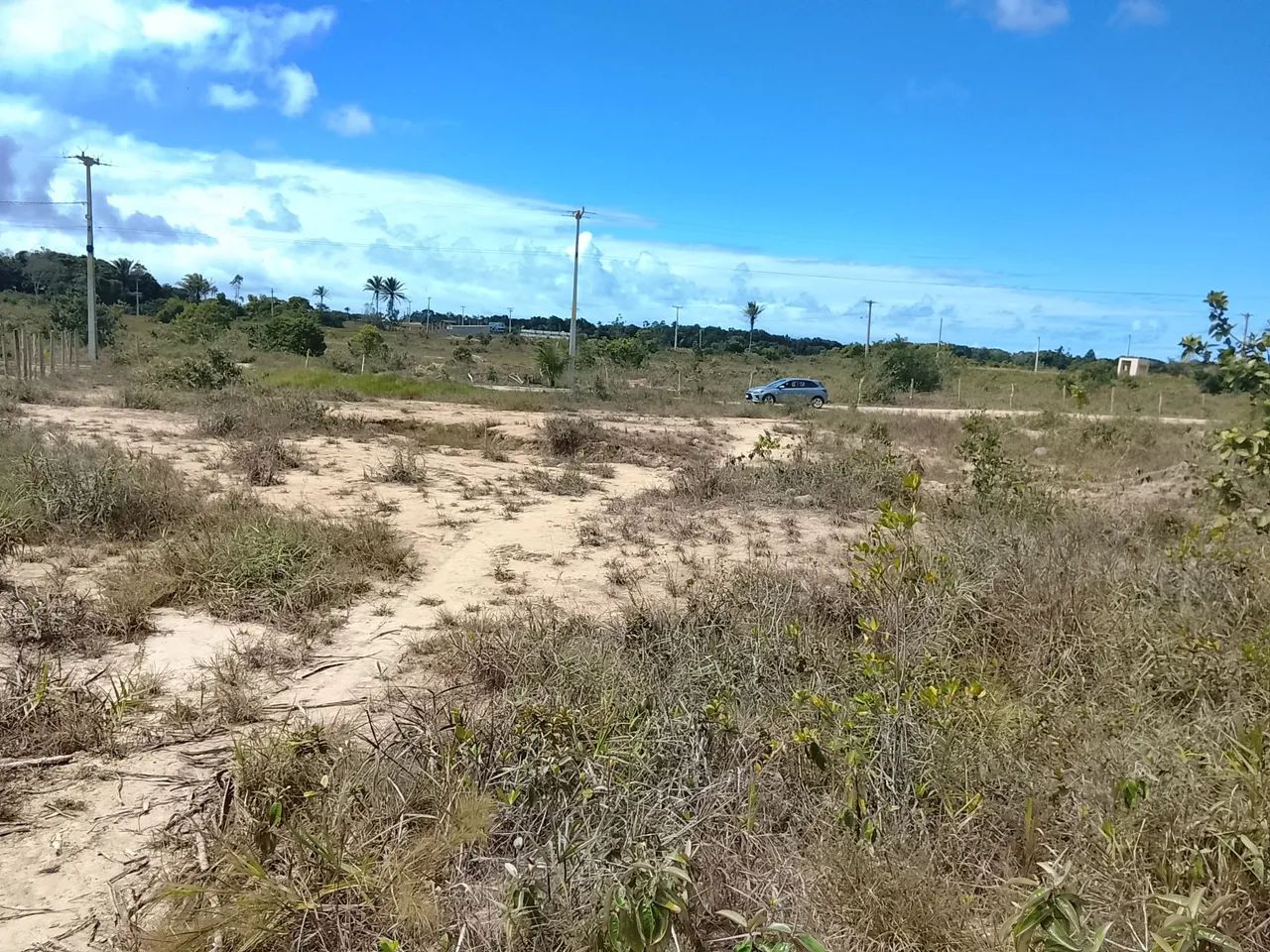 Terreno  - Foto 5