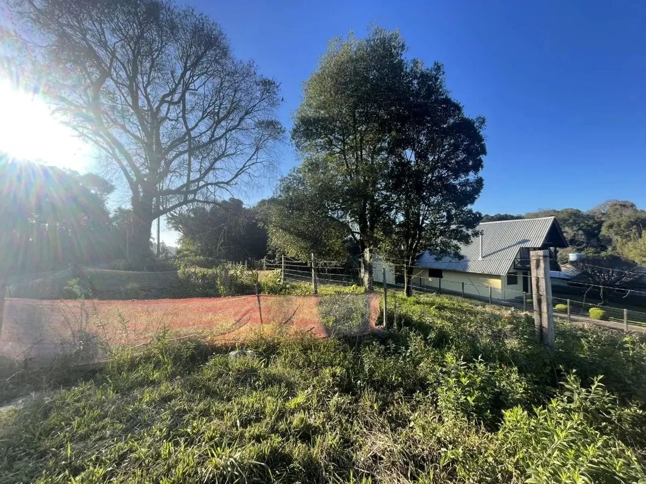 CAXIAS DO SUL - Terreno Padrão - CRUZEIRO - Foto 6