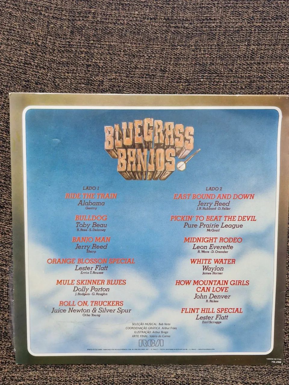LP Bluegrass Banjos - Foto 2