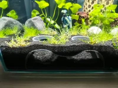 Decoração para aquário  - Foto 3