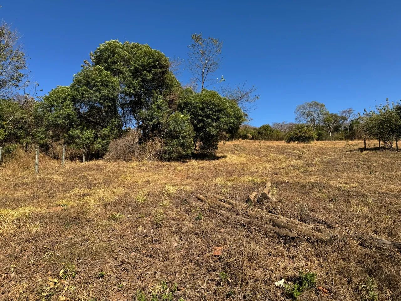 Vendo chácara próxima Anápolis - Foto 5