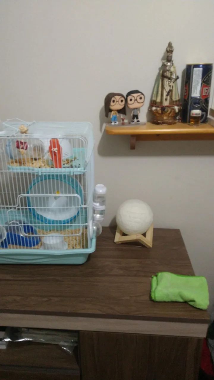 Kit Completo para Hamster: Gaiola Grande + Transporte + Acessórios e brinquedos (Desapego) - Foto 4