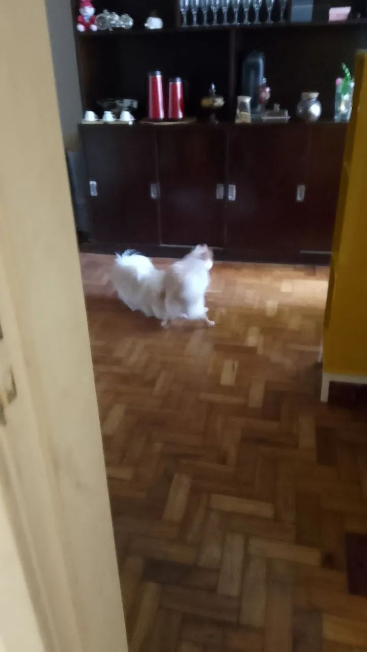 Alugo quarto no centro de bh * barato 