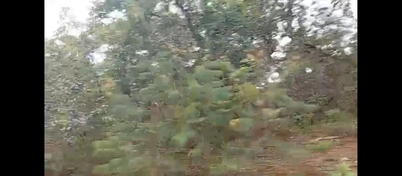Fazenda Goiás Cavalcante GO 241 - Foto 5