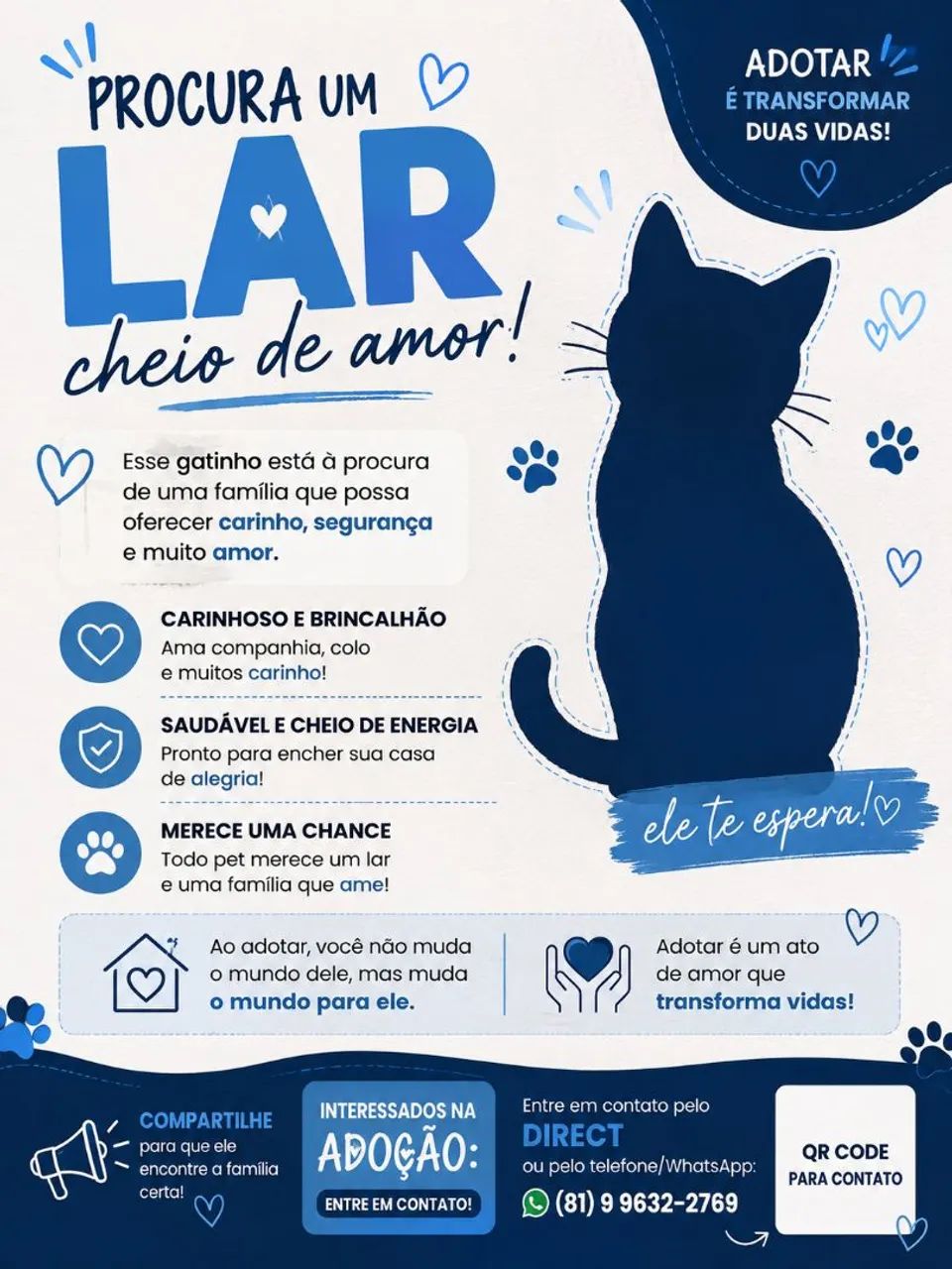 Doação (gato macho