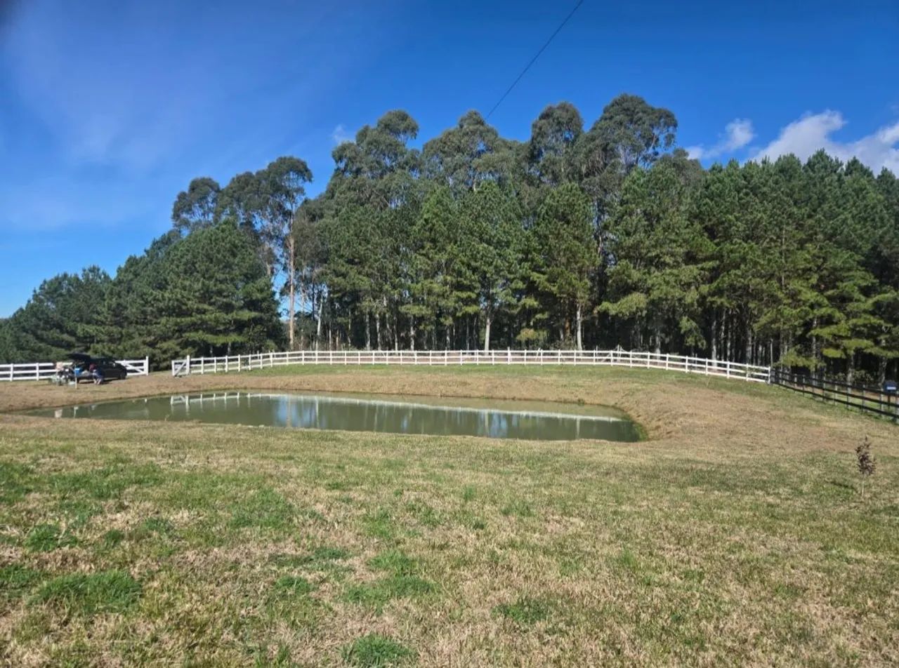 Melhor  terreno  de  alfredo wagner  - Foto 3