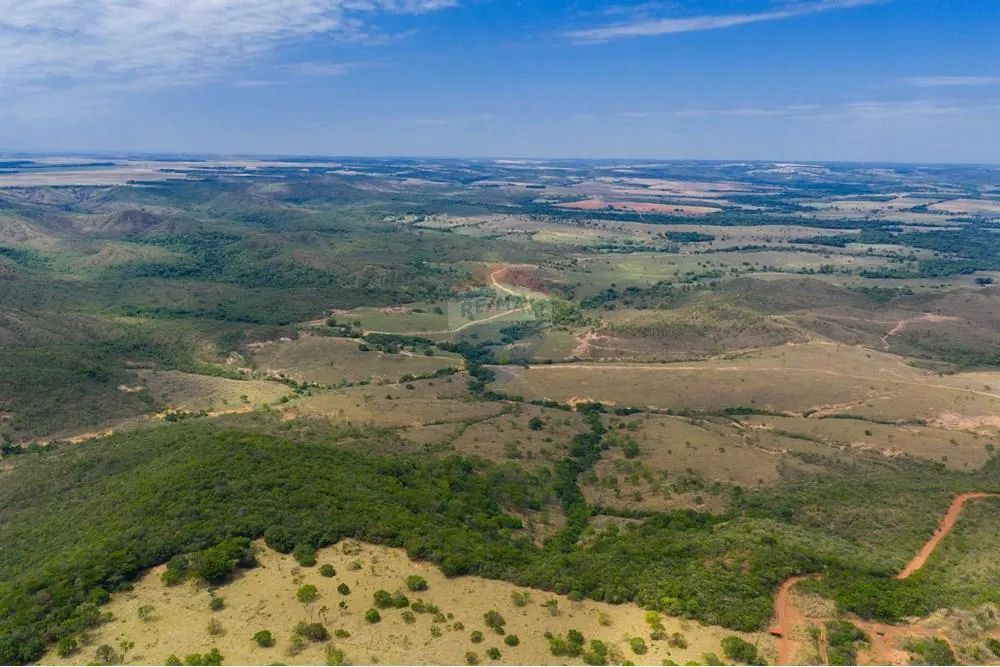 FAZENDA À VENDA  OPORTUNIDADE NO PADEF (DF/GO) - Foto 4